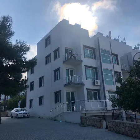 Diamond * קיירניה